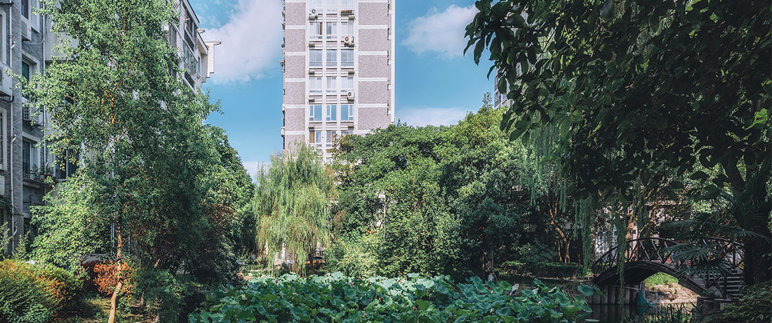 美彩国际(中国)有限公司