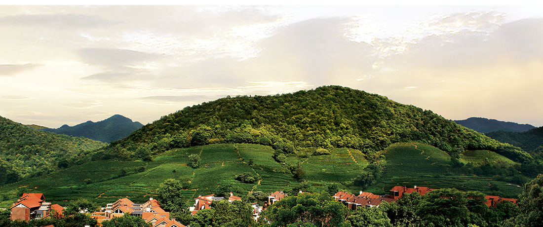 美彩国际(中国)有限公司