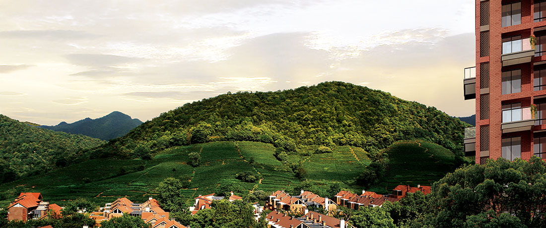 美彩国际(中国)有限公司