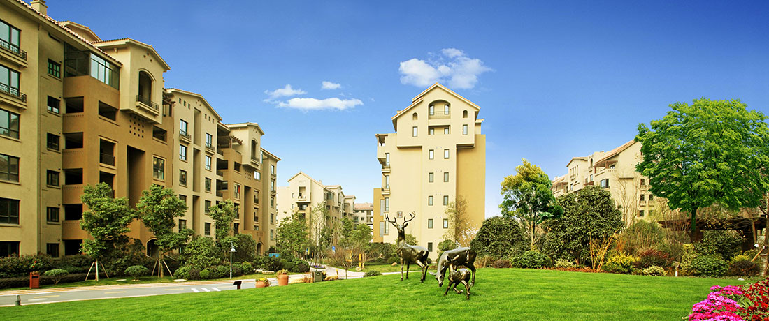 美彩国际(中国)有限公司