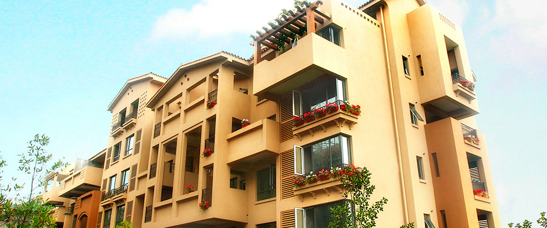 美彩国际(中国)有限公司