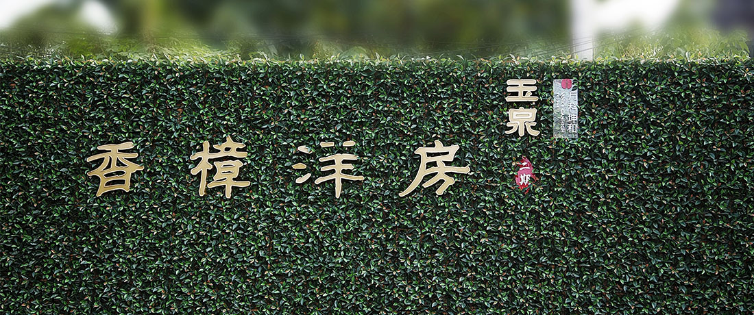 美彩国际(中国)有限公司