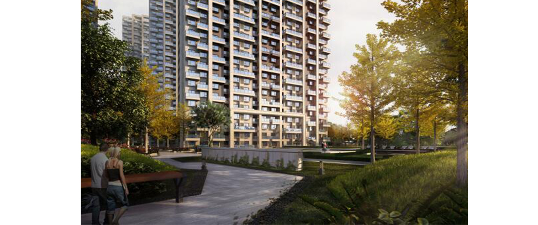 美彩国际(中国)有限公司