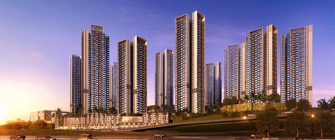 美彩国际(中国)有限公司