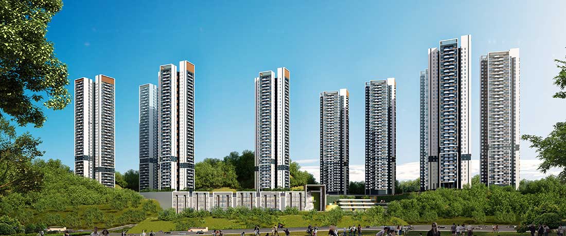 美彩国际(中国)有限公司