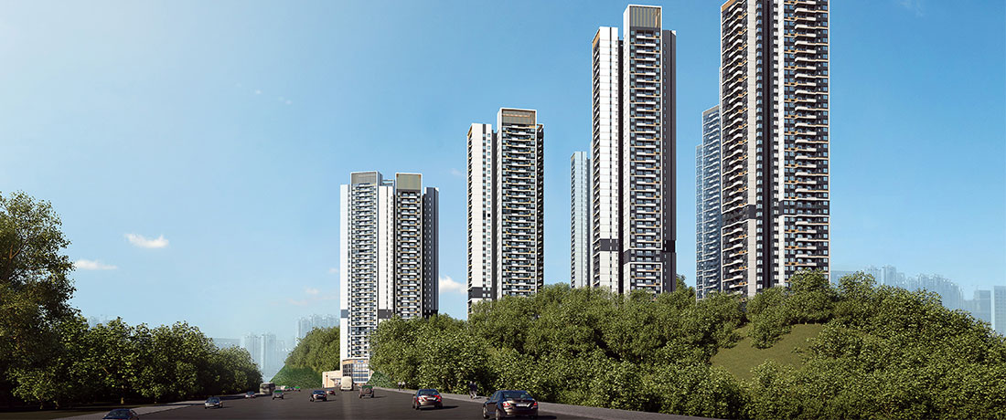 美彩国际(中国)有限公司