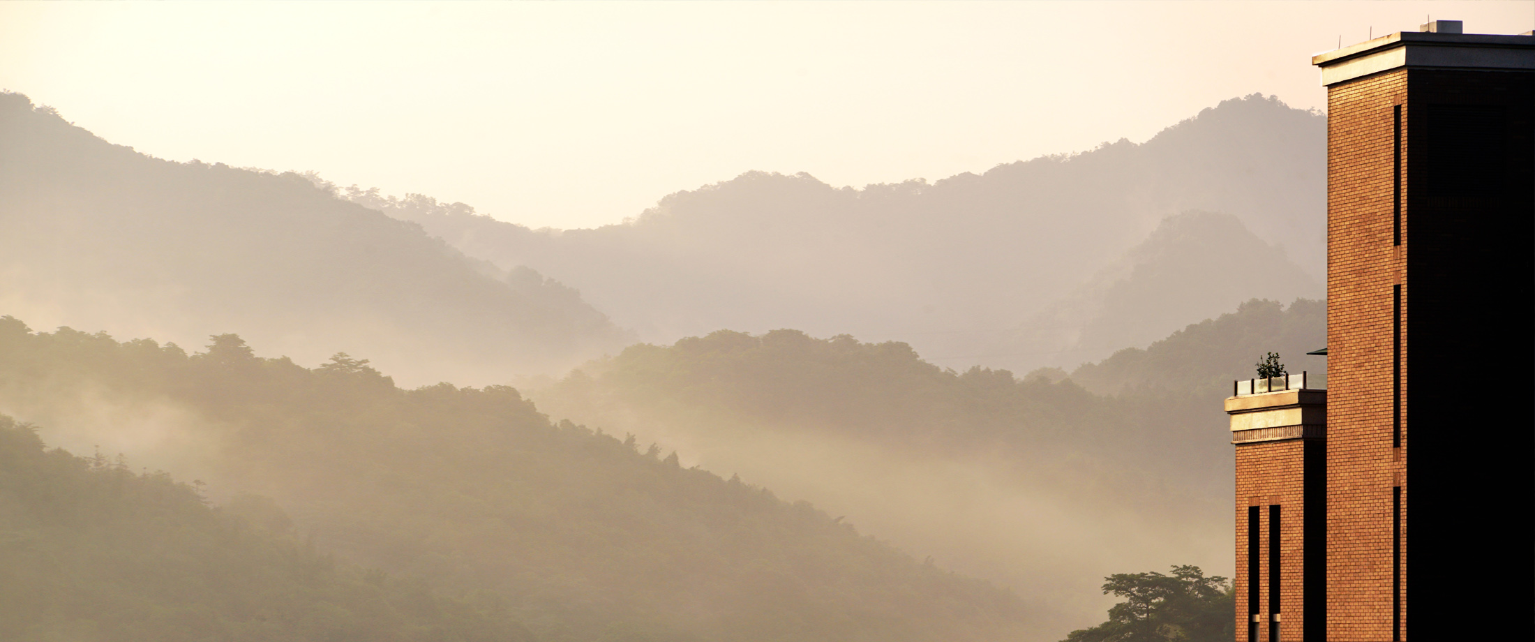 美彩国际(中国)有限公司