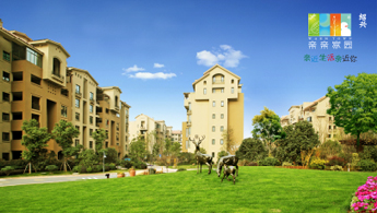 美彩国际(中国)有限公司