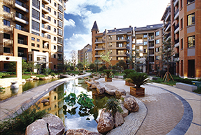 美彩国际(中国)有限公司