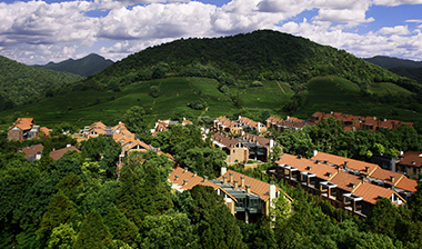 美彩国际(中国)有限公司